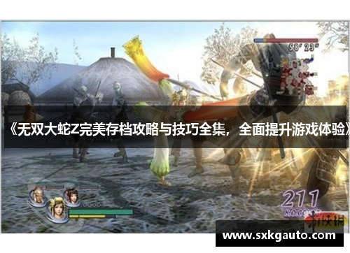 《无双大蛇Z完美存档攻略与技巧全集，全面提升游戏体验》