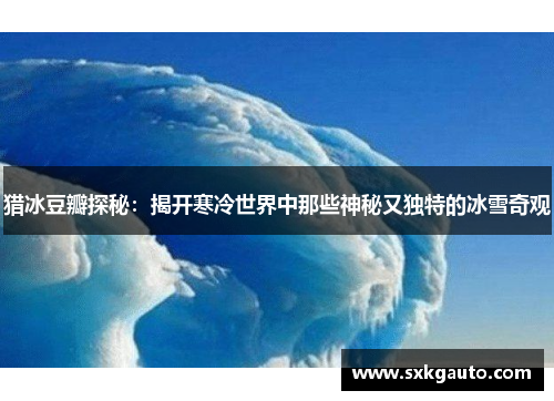 猎冰豆瓣探秘：揭开寒冷世界中那些神秘又独特的冰雪奇观